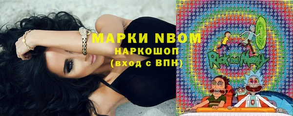 крисы Алексин