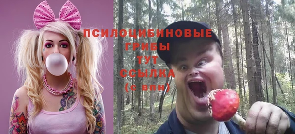 крисы Алексин
