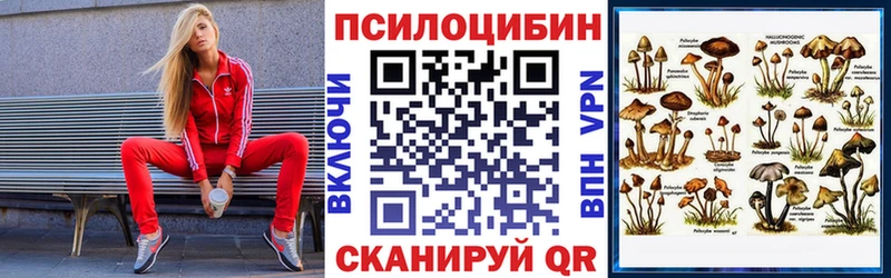 Псилоцибиновые грибы Psilocybe Шатура